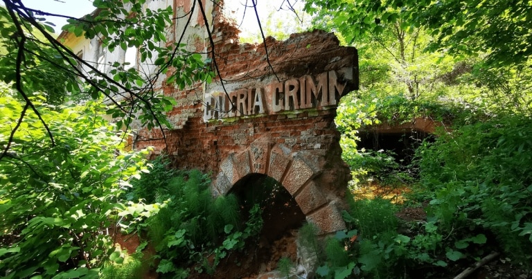 Fostele mine din Munții Metaliferi, înghițite de vegetație după două decenii de părăsire