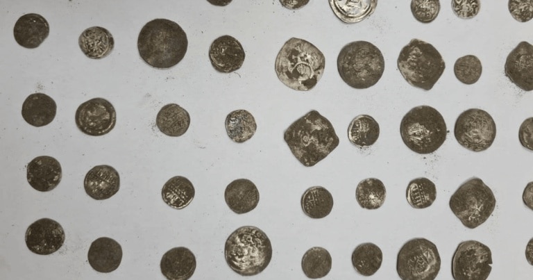 Cele 650 de monede din argint descoperite lângă oraşul Sântana, evaluate de experți