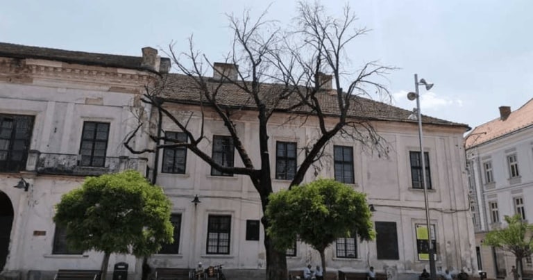 Stejarul secular plantat de regele Ferdinand şi regina Maria la Timișoara s-a uscat / FOTO