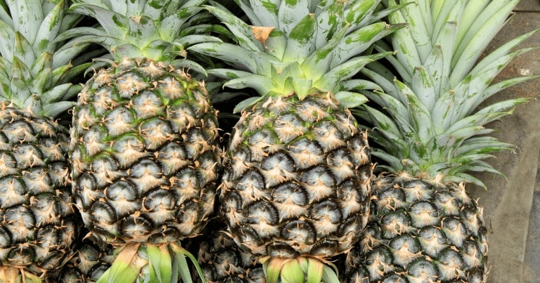 Ananasul, cultivat în Transilvania în urmă cu mai bine de 200 de ani