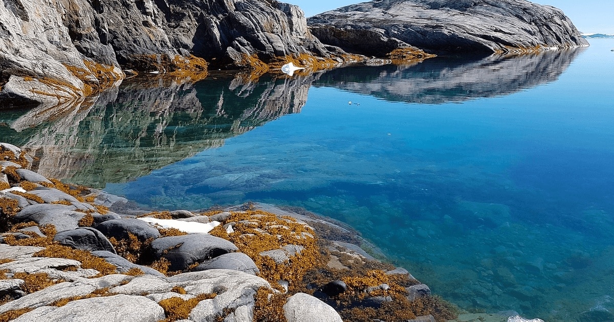 ADN vechi de 2 milioane de ani, descoperit în Groenlanda