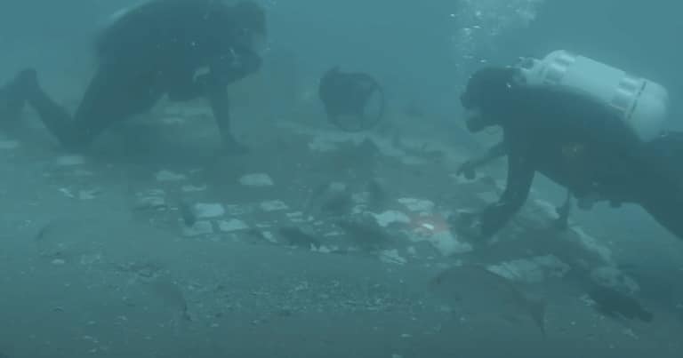 Un fragment din naveta spațială Challenger, descoperit în Triunghiul Bermudelor