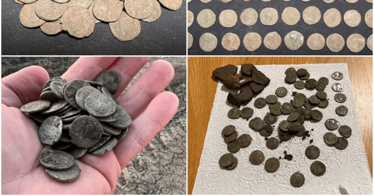 Un tezaur de monede romane, descoperit cu un detector de metale în Alba