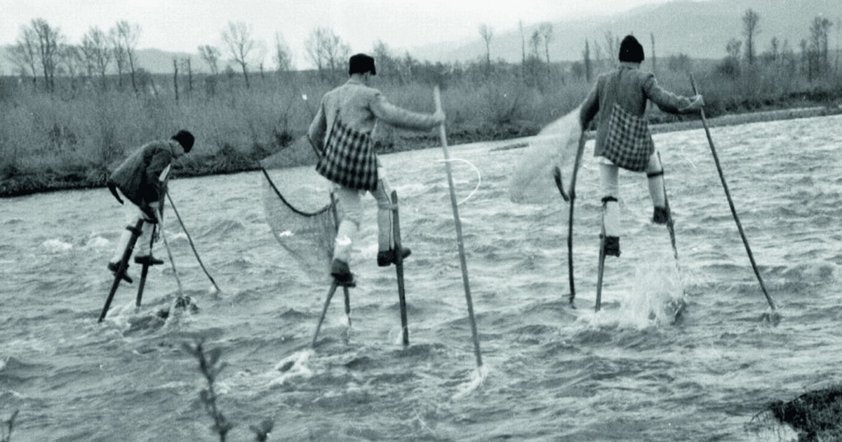 O istorie în imagini a pescuitului în spațiul mureșean / FOTO
