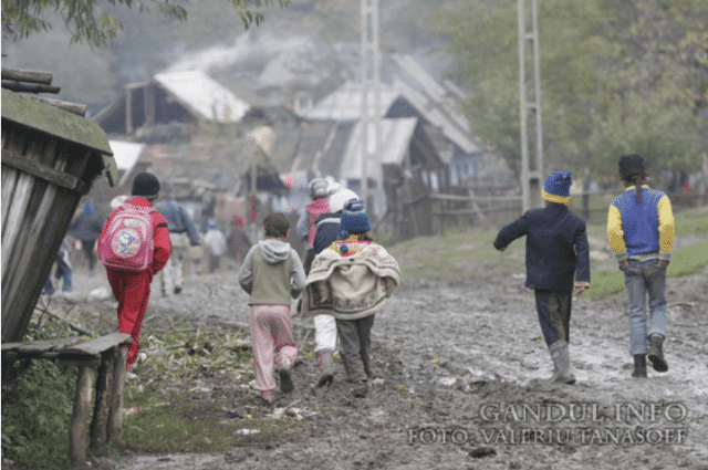 1 din 5 adolescenți de 16 ani nu urmează nicio formă de școlarizare