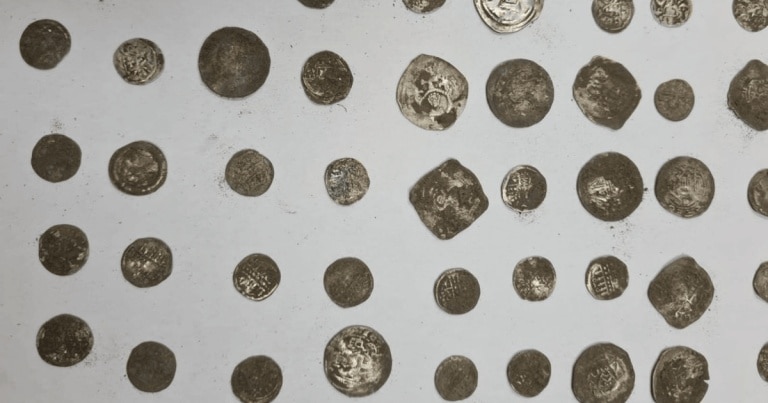 Aproape 650 de monede din argint, găsite de câțiva tineri pe un câmp din județul Arad
