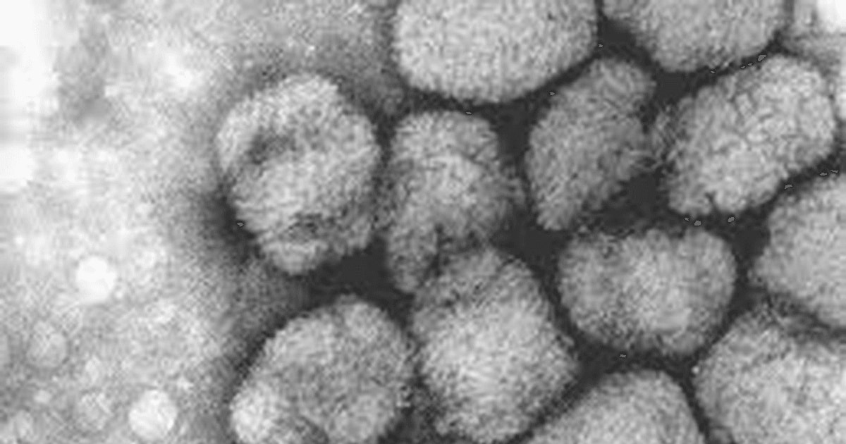 Viruși vechi de 15.000 de ani au fost identificați după topirea ghețarilor tibetani