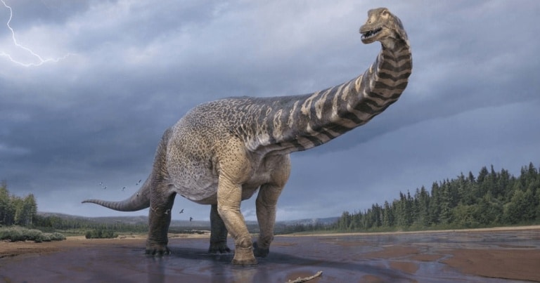 Unul dintre cei mai mari dinozauri care au trăit vreodată, descoperit în Australia