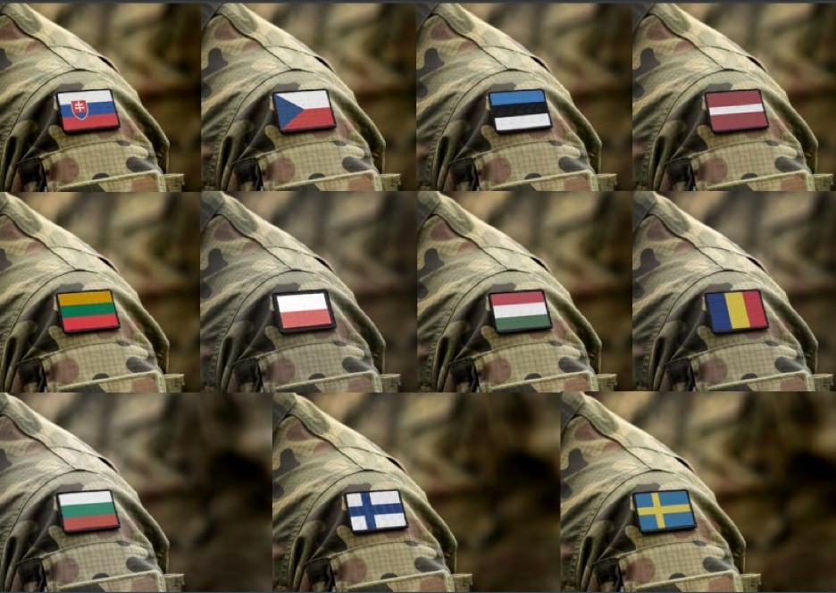 o comparație cu alte armate europene și cu politica de recrutare de combatanți