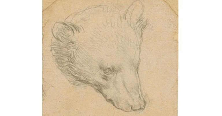 O schiţă a unui cap de urs, desenată de Leonardo da Vinci, scoasă la licitaţie
