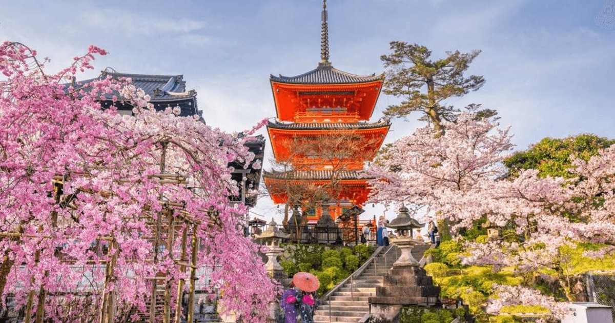 Japonia: Cel mai timpuriu vârf al sezonului florilor de cireș din ultimii 1.200 de ani