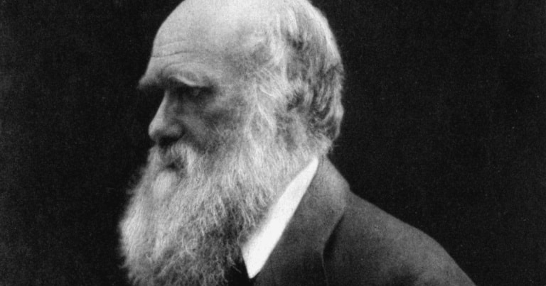 Ce credeau Darwin și adepții săi despre rasele umane