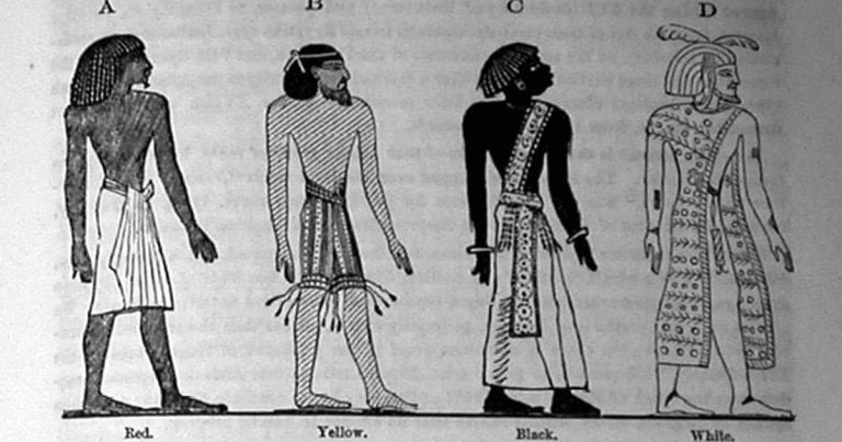 Diferențele anatomice ca temelie pentru rasismul vulgar