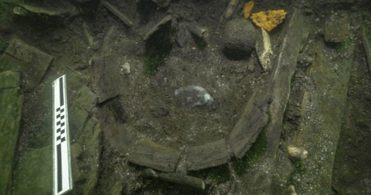 Resturile unui sturion de Atlantic, o specie aproape dispărută în prezent, descoperite în epava unei nave regale daneze