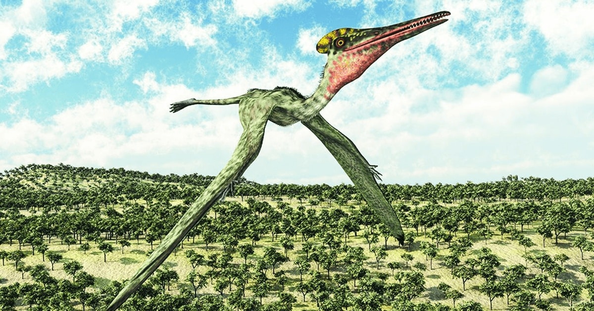 O nouă specie de pterozaur, identificată în Australia