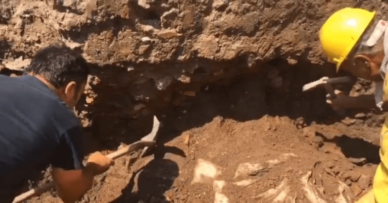 Statuia unui războinic dac, descoperită în Forul lui Traian din Roma / VIDEO