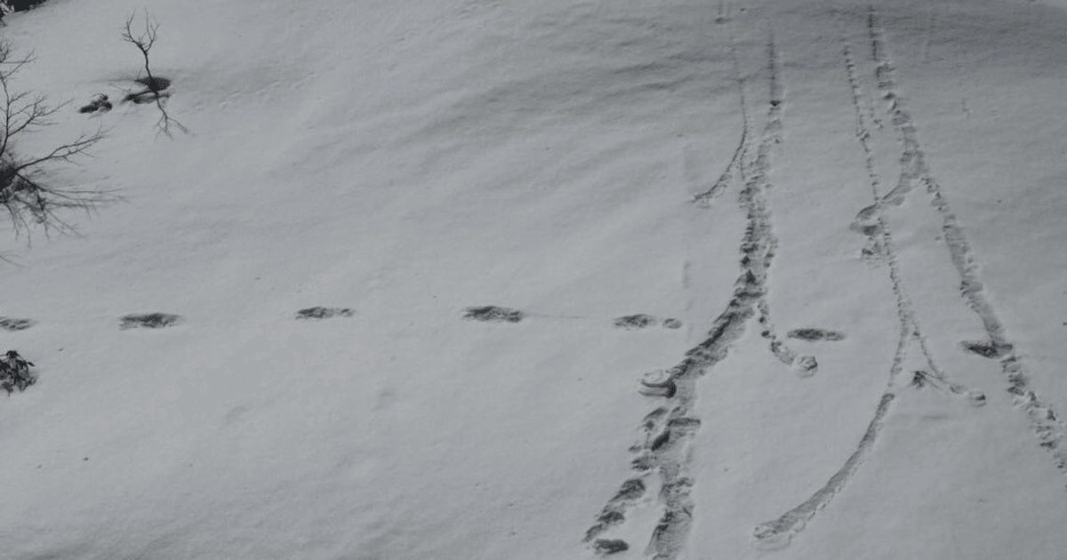 Armata indiană a anunțat că a găsit urmele lui Yeti în Himalaya / FOTO