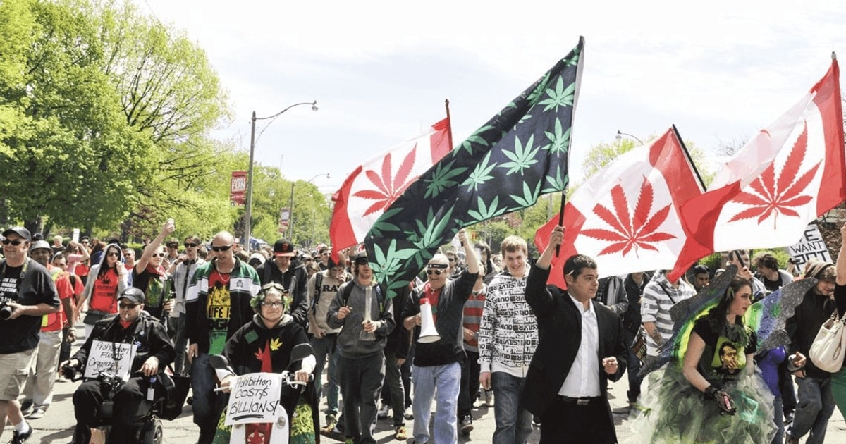 Istoria (re)legalizării marijuanei în America de Nord