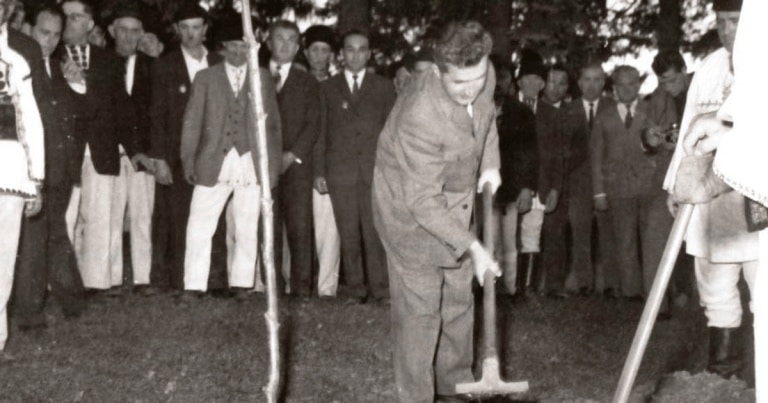 Cum au dat foc ai noștri Gorunului plantat de Nicolae Ceaușescu la Țebea