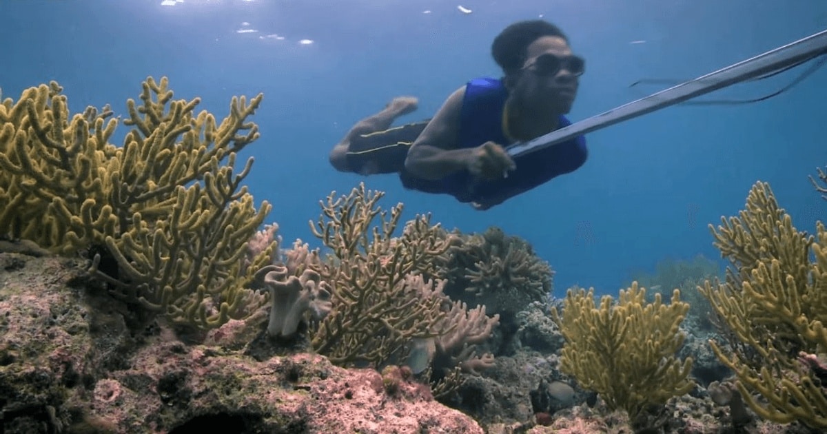 Cum reușesc «nomazii mării» să reziste treisprezece minute sub apă fără să respire