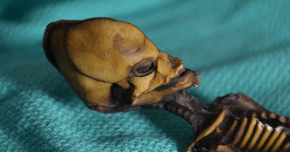 Misterul scheletului mumificat din Chile a fost elucidat