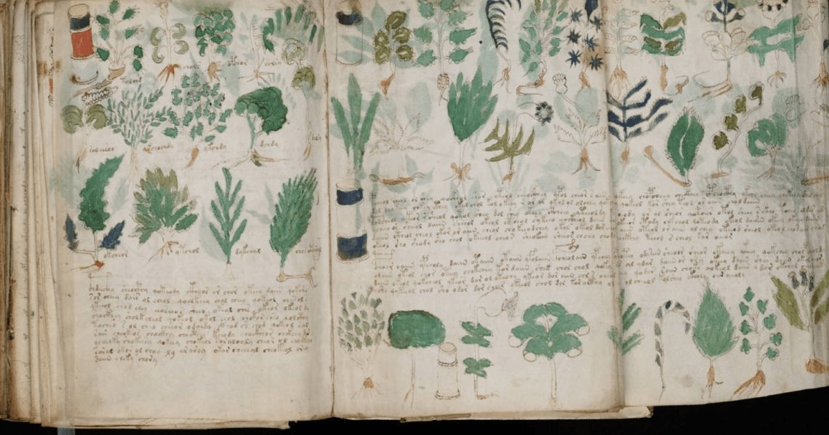 Manuscrisul lui Voynich, descifrat cu ajutorul inteligenței artificiale?