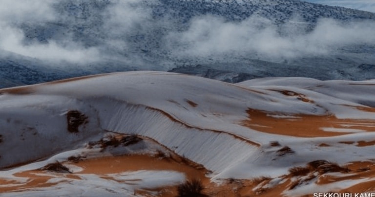 Dunele de nisip ale Saharei, acoperite cu zăpadă VIDEO