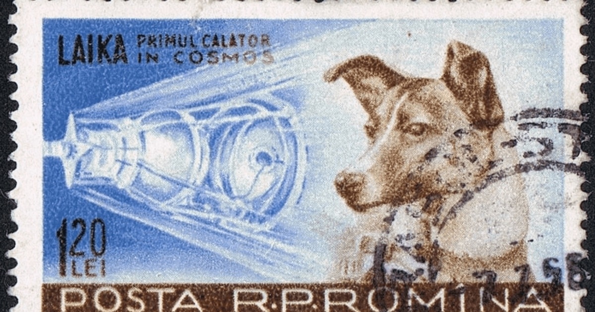 3 noiembrie 2017– comemorarea unei eroine sovietice