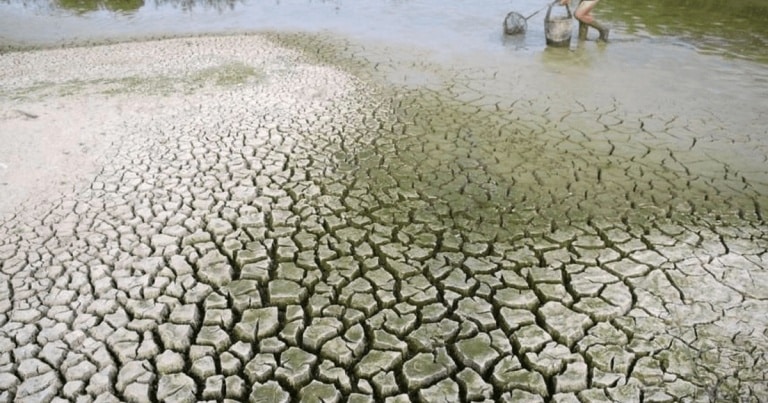 Nimicirea pădurilor și schimbările climatice
