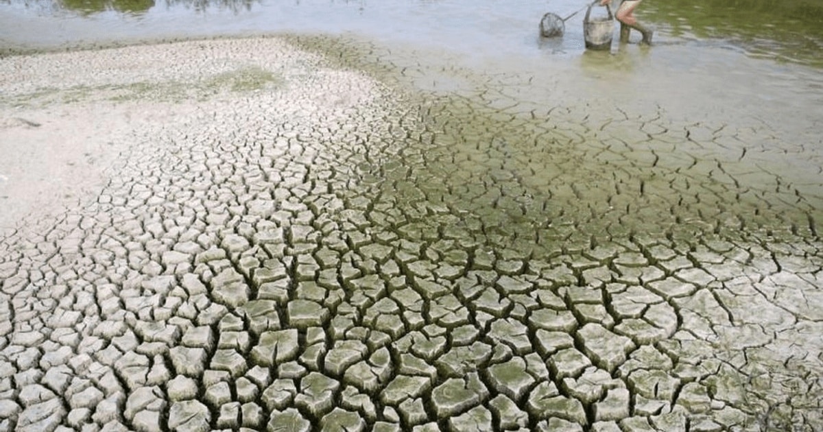 Nimicirea pădurilor și schimbările climatice