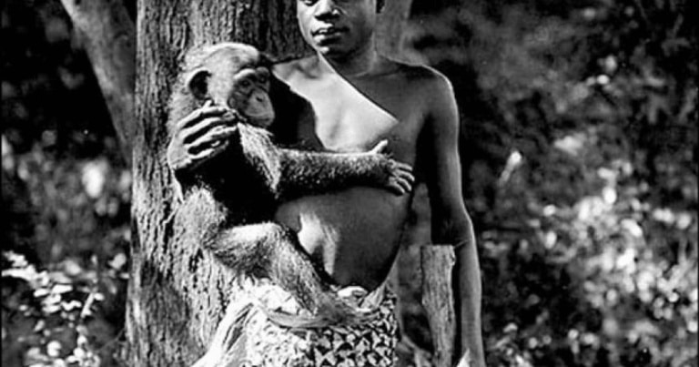 Grădinile zoologice cu oameni, afacerile scandaloase din istoria țărilor civilizate