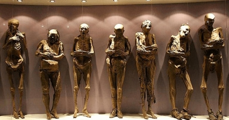 Muzeul Mütter: un loc macabru