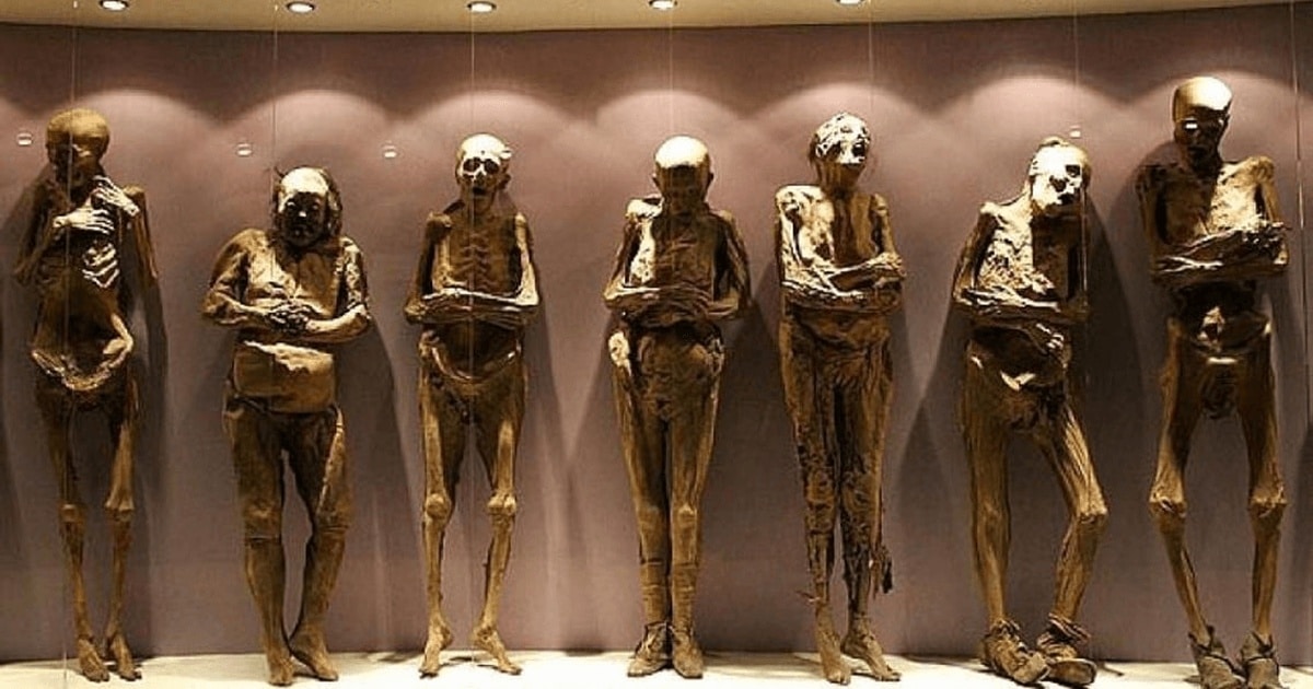 Muzeul Mütter: un loc macabru