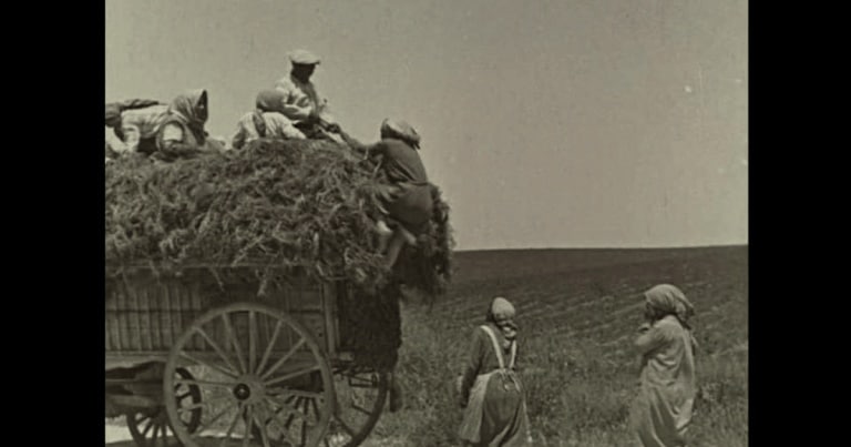 Miturile agriculturii contemporane LIPSA DE EFICENȚĂ