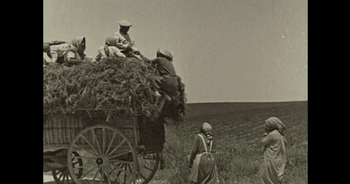 Miturile agriculturii contemporane LIPSA DE EFICENȚĂ