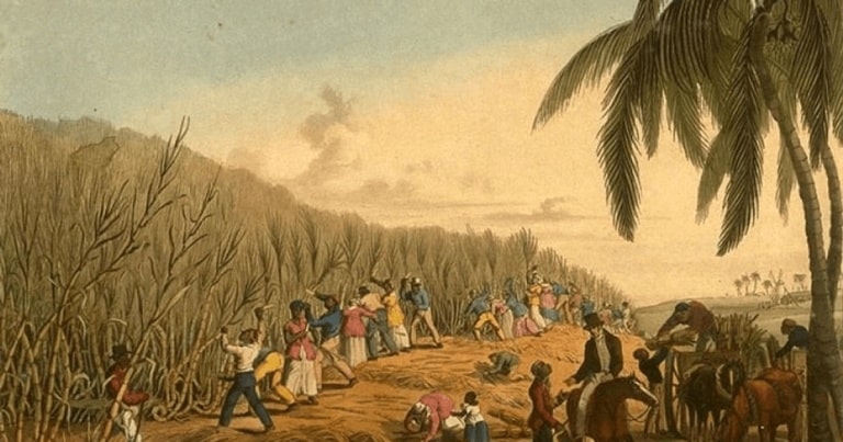 Zahărul, bunul de lux care a încurajat sclavia