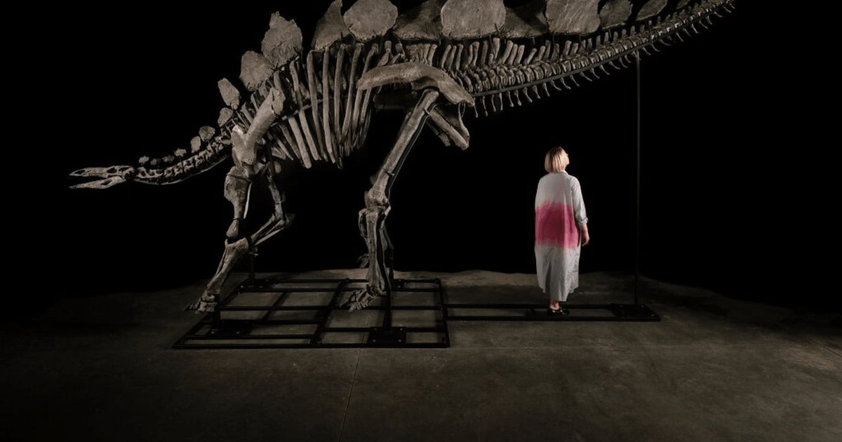 Cel mai scump schelet de dinozaur din lume, cumpărat de un miliardar american