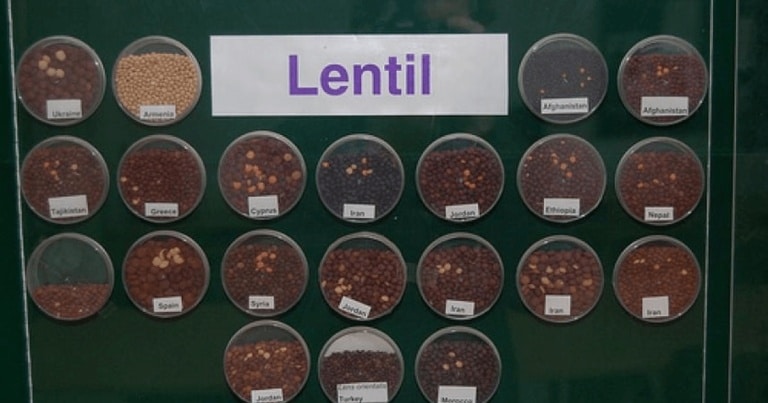 S-a deschis buncărul unde se află ascunsă rezerva mondială de seminţe