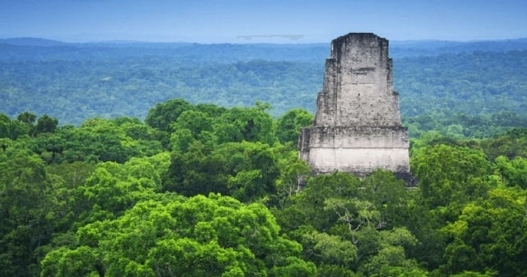 Civilizaţia Maya a avut un impact major asupra mediului