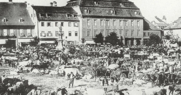 Saşii şi rolul lor în istoria românilor