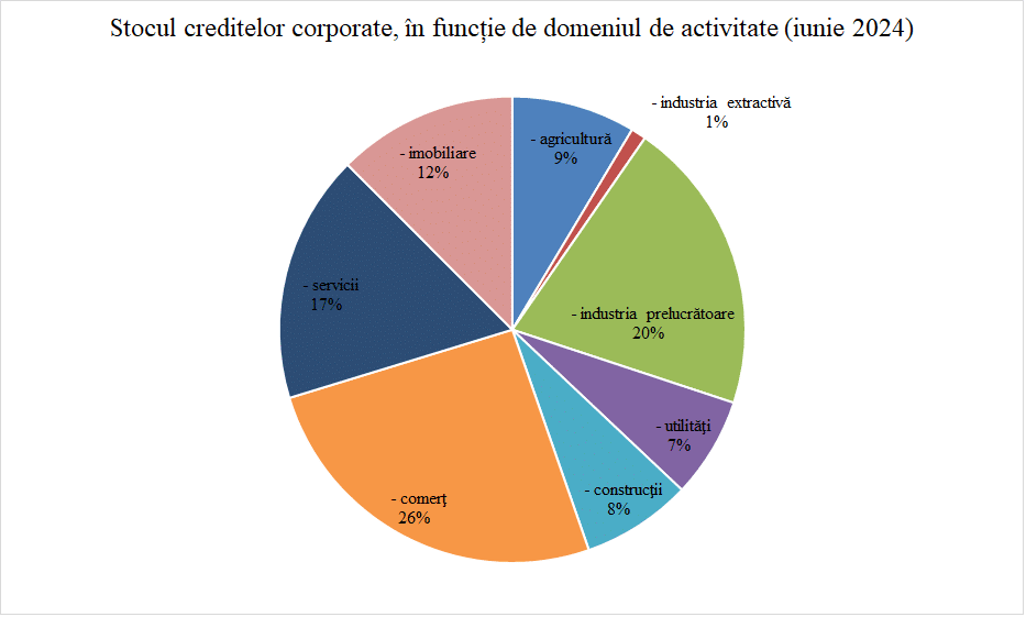Creditare anemică a economiei reale în S1: o analiză pe sectoare