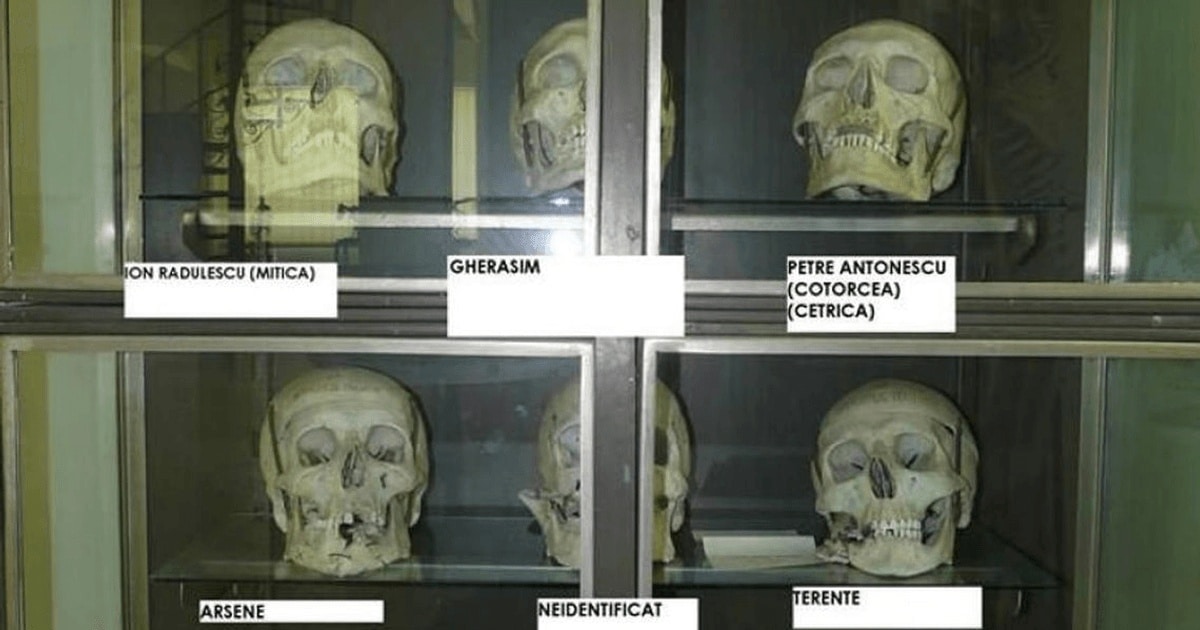 Nelegiuirile banditului Cocos