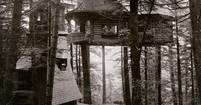 „Cuibul Princesei“ de la Peleş. Povestea căsuţei din copaci a Reginei Maria