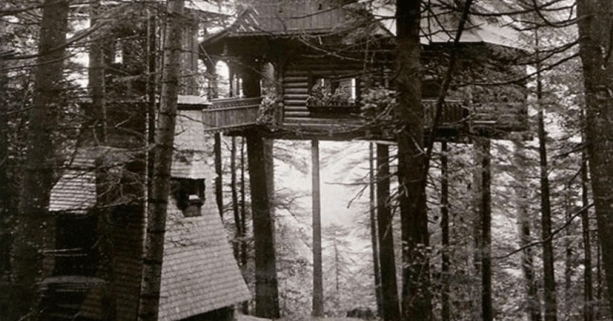 „Cuibul Princesei“ de la Peleş. Povestea căsuţei din copaci a Reginei Maria