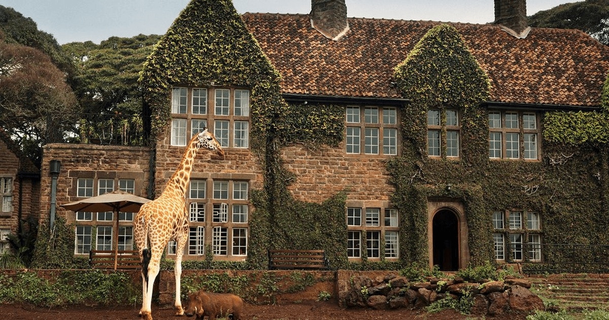 Hotelul Giraffe Manor, locul unde poti lua micul dejun impreuna cu opt girafe