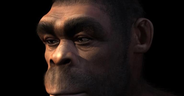 Încă am rămas oamenii cavernelor. Moduri prin care vechile instincte ne cauzează neplăceri