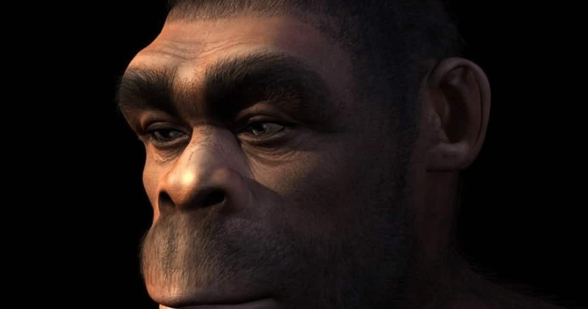 Încă am rămas oamenii cavernelor. Moduri prin care vechile instincte ne cauzează neplăceri