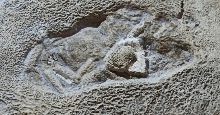 Povestea urmei Omului de Neanderthal din Gheţarul de la Vârtop