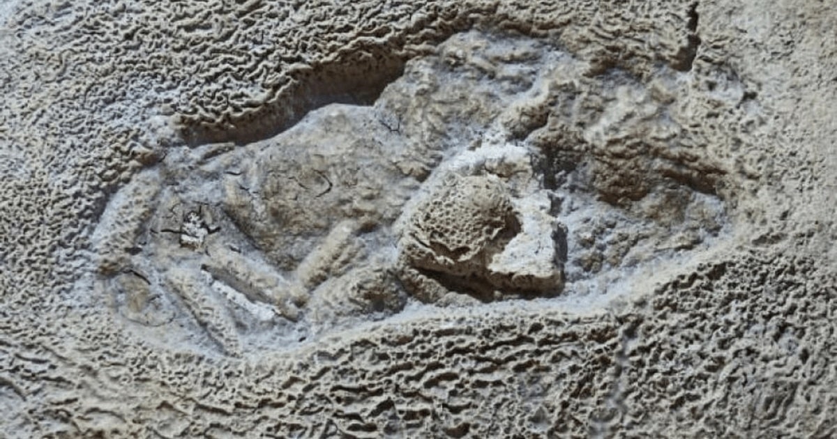 Povestea urmei Omului de Neanderthal din Gheţarul de la Vârtop