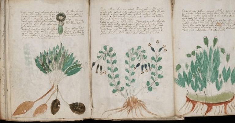 Noi pași spre descifrarea celui mai misterios manuscris din lume